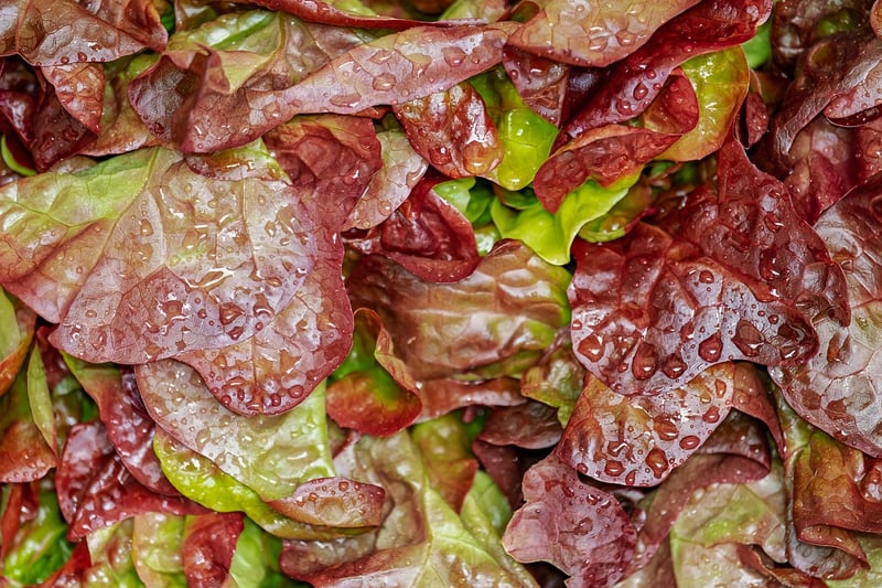 Mediterranean-Tropical Salad